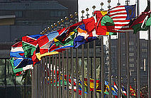 (cc) flickr united nations photo